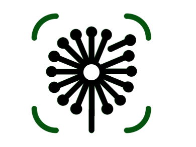 a stylised dandelion icon in a green square